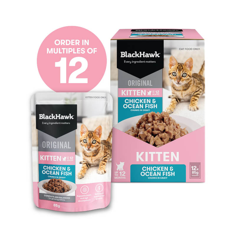 Black Hawk Ocean Fish Kitten Gravy Wet Cat Food 85gx12 in a box