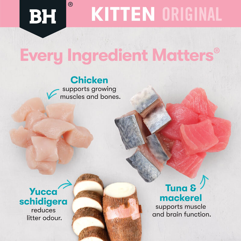 Black Hawk Ocean Fish Kitten Gravy Wet Cat Food benefits of ingredients