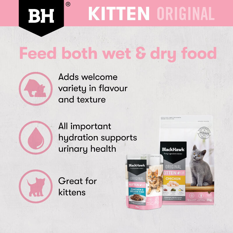 Black Hawk Ocean Fish Kitten Gravy Wet Cat Food benefits of mix feed both dry and wet food