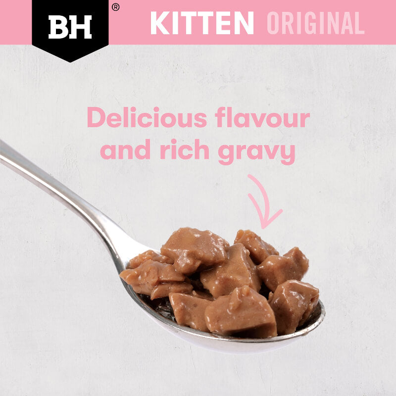 Black Hawk Ocean Fish Kitten Gravy Wet Cat Food display on a spoon