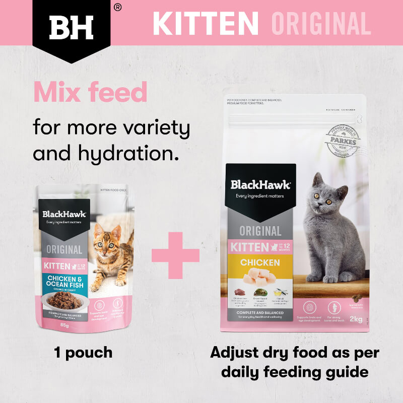 Black Hawk Ocean Fish Kitten Gravy Wet Cat Food mix feed with black hawk kitten food