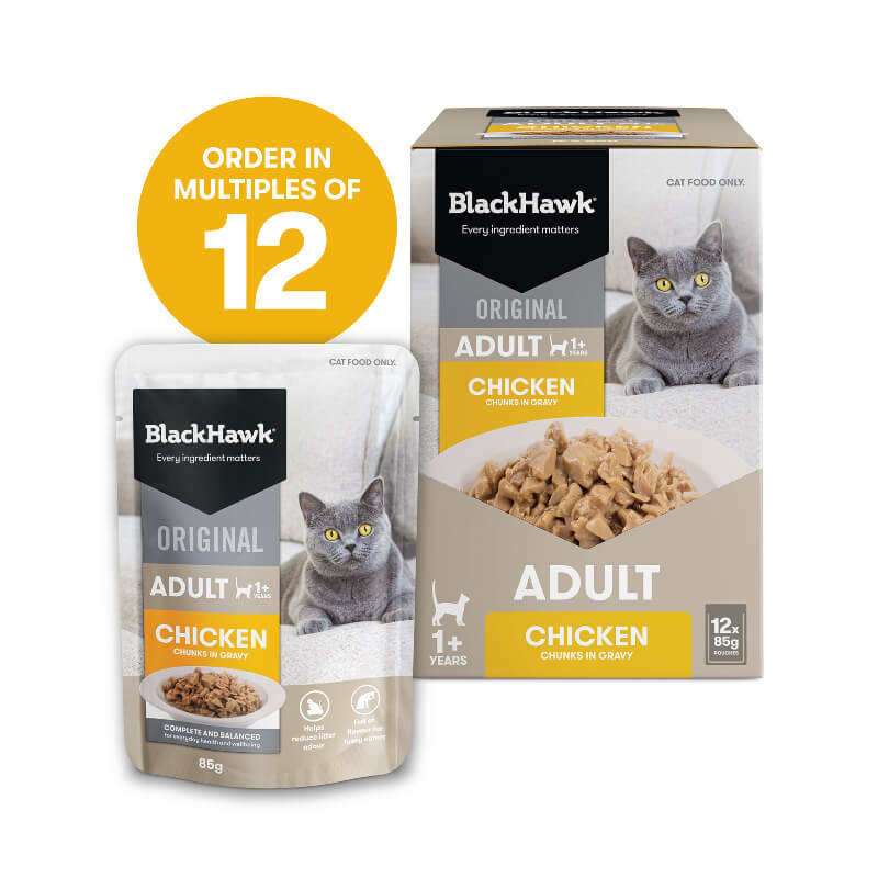 black hawk orginal chicken gravy adult wet cat food 85gx12 in a box