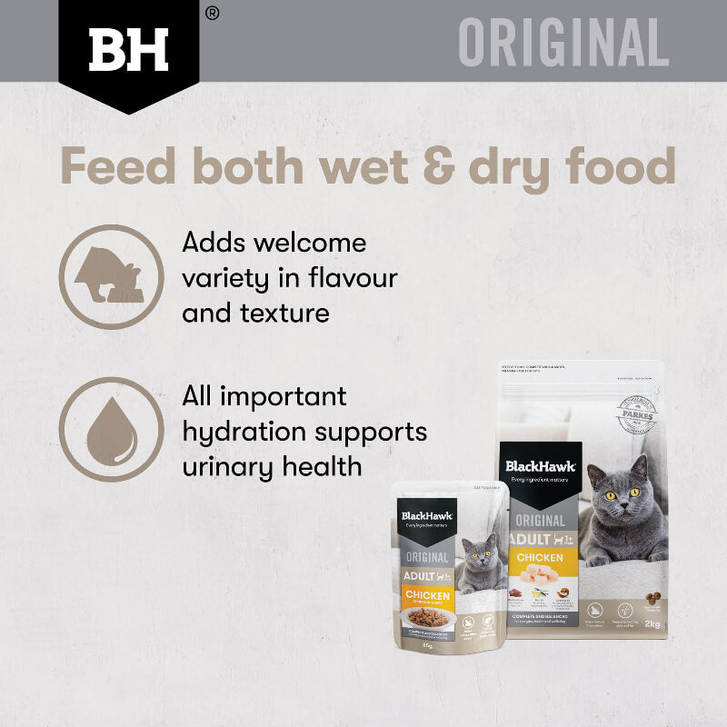Black Hawk Chicken Gravy Adult Wet Cat Food benefits of feed both wet and dry food