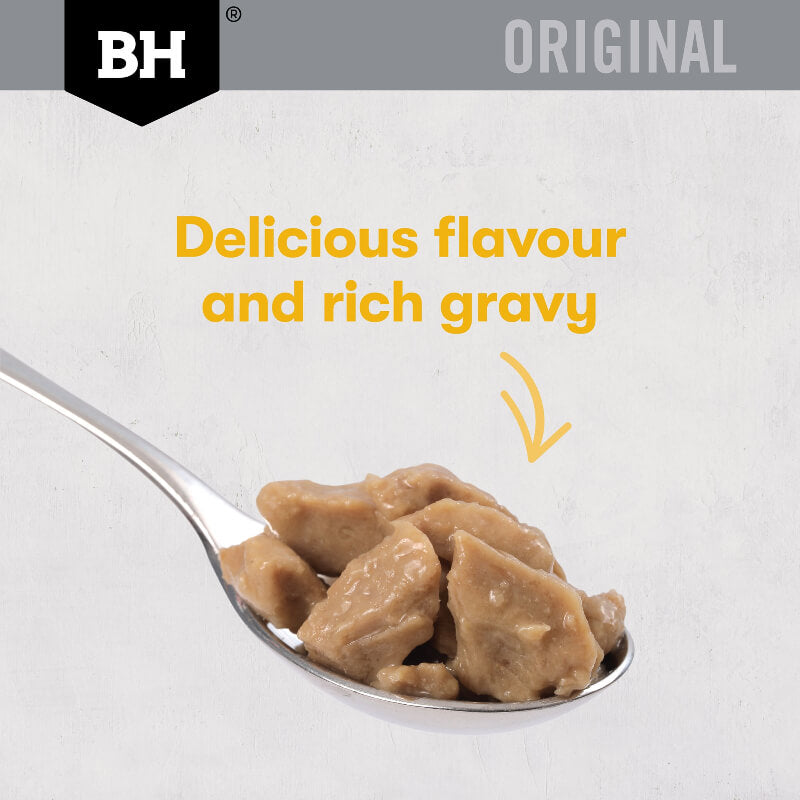 Black Hawk Chicken Gravy Adult Wet Cat Food food display on a spoon