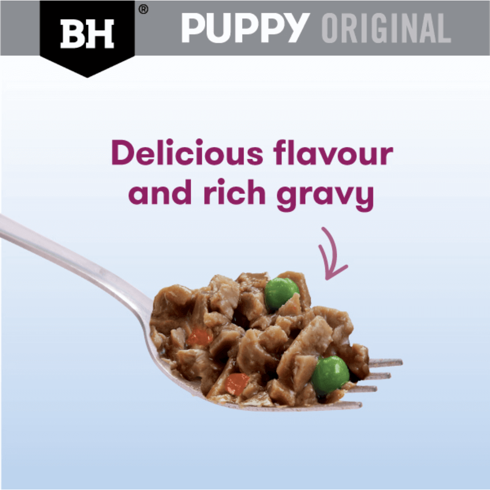 BLACK HAWK Original Puppy Lamb & Vegetables Wet Dog Food display on a fork