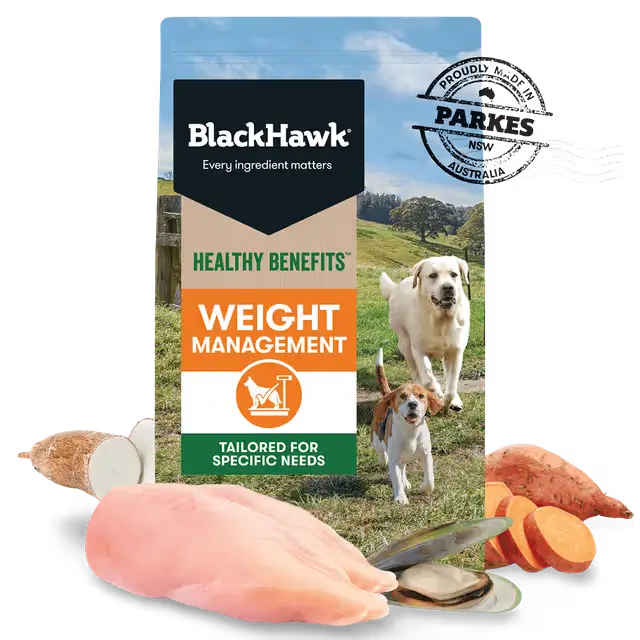 Black Hawk Healthy Benefits Weight Management dog food with chicken, sweet potato, fish oil and green-lipped mussel