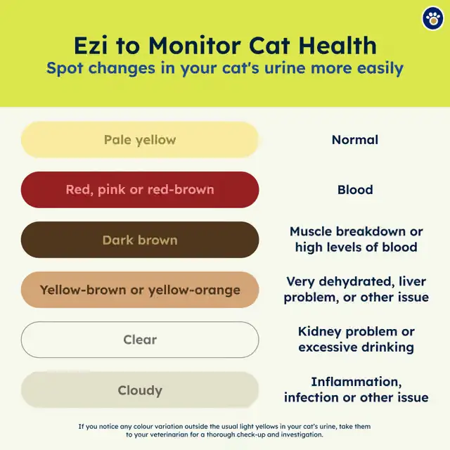 Cat health monitoring color chart diagnosing normal urine from signs of blood, kidney issues, infection, or dehydration