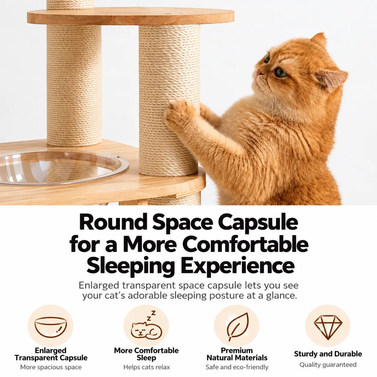 Ginger cat scratching a sisal post beside the D01 wooden cat tree transparent capsule bed, featuring multi-level wooden platforms.