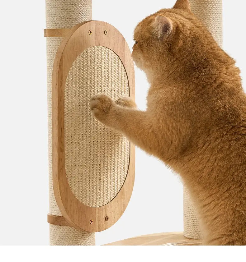 Ginger cat using the natural sisal scratching panel on the D01 wooden cat tree, designed for scratching and claw maintenance.