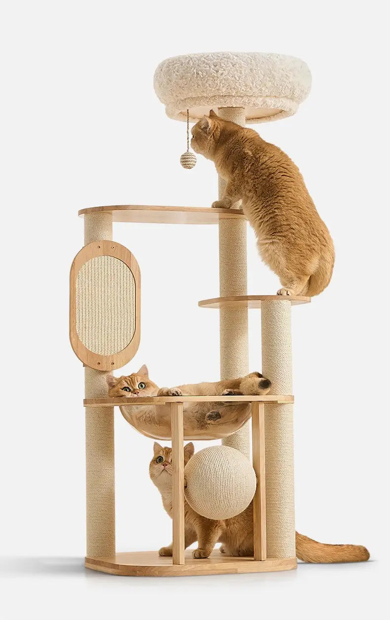 Three ginger cats exploring the D01 multi-level wooden cat tree with clear capsule bed, plush top perch and rotating sisal scratching ball.