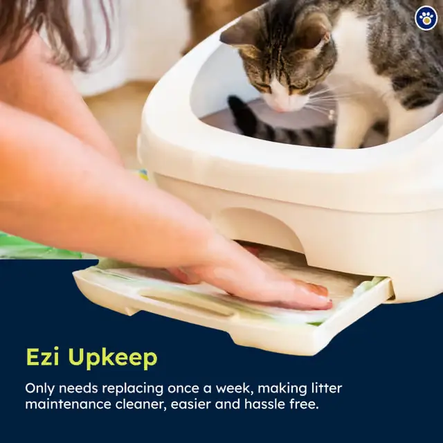Person sliding out the litter box bottom tray to replace the weekly absorbent pad while a cat looks on