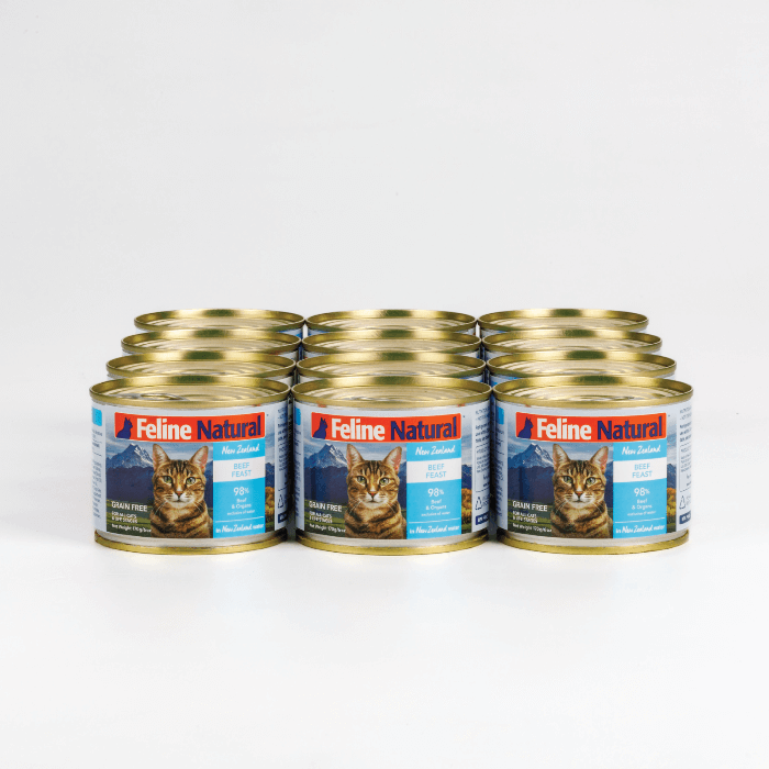 Feline Natural Beef Feast Wet Cat Food Canned 170G