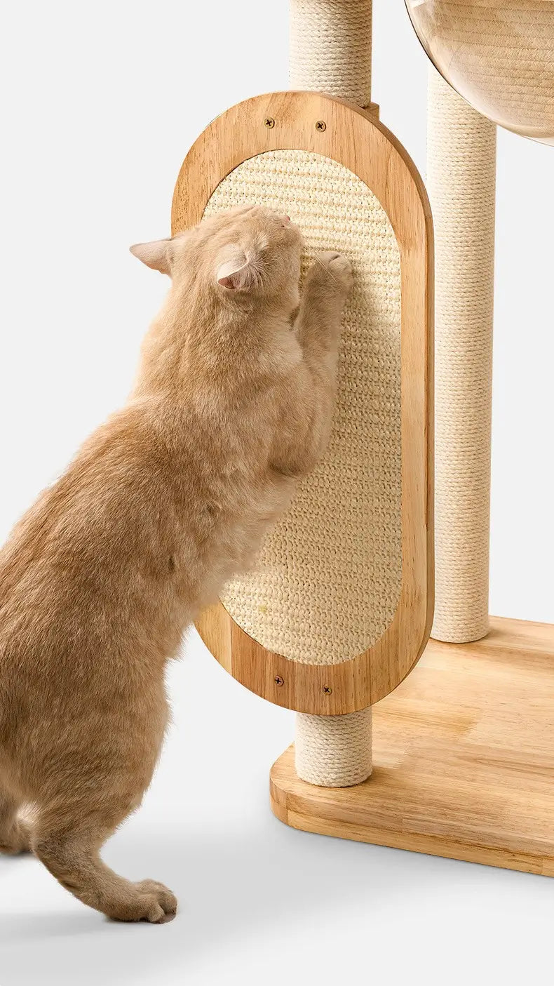 Ginger cat scratching the vertical sisal scratching board attached to the H02 wooden cat tree with natural wood frame.