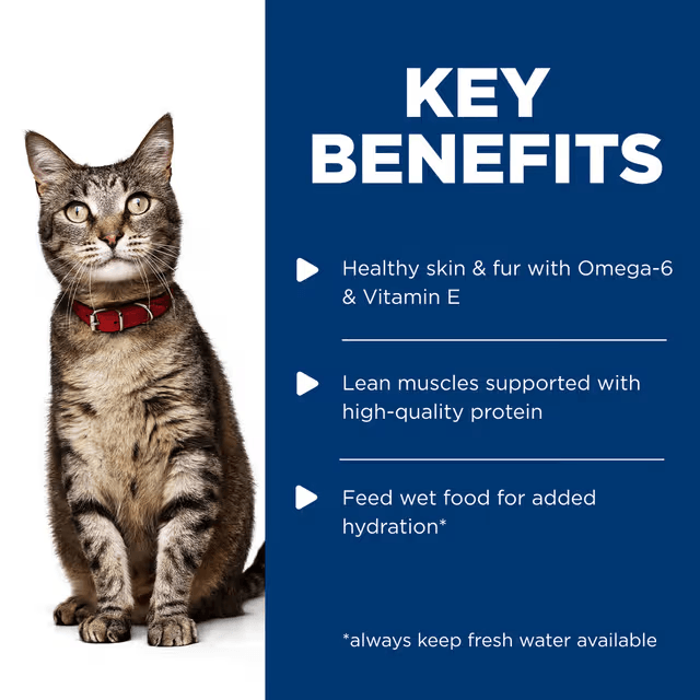 Hill's Adult Poultry Selection wet cat food benefits for healthy skin, lean muscles and hydration