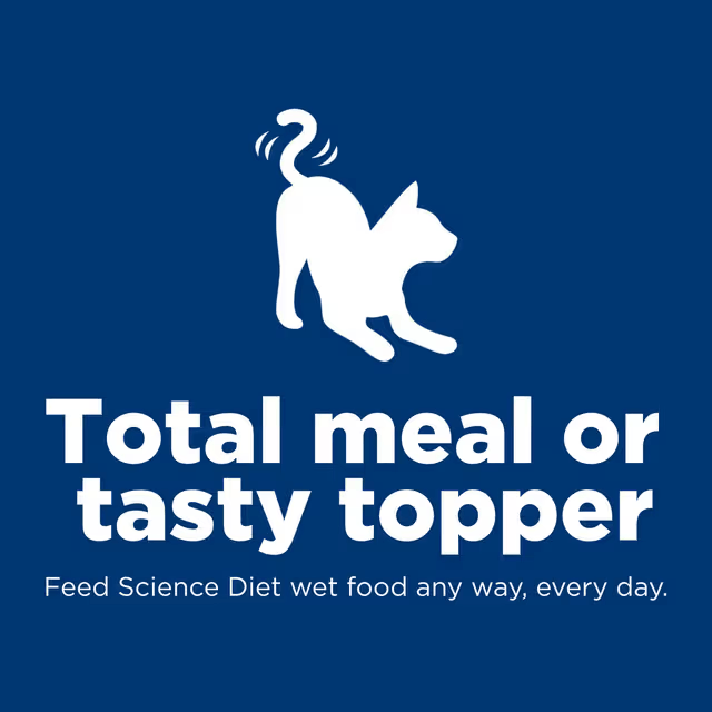 Hill's Science Diet wet cat food served as a complete meal or tasty food topper