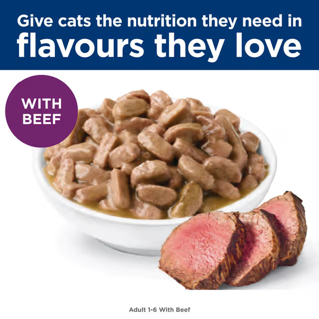 Hill's Science Diet Adult Beef Wet Cat Food display