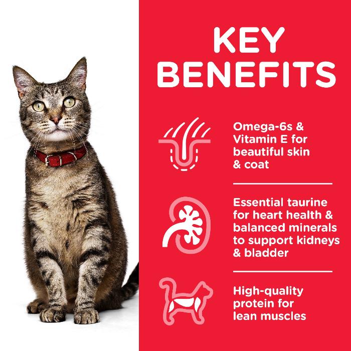 Hill's Science Diet Adult Beef Wet Cat Food benefits