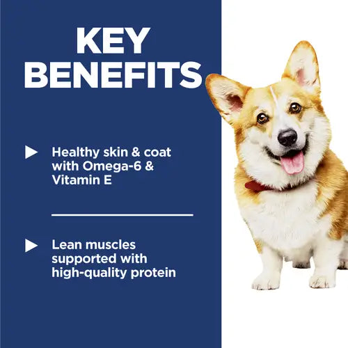 Hill's Science Diet Adult Small Bites dog food key benefits for healthy skin, coat and lean muscles