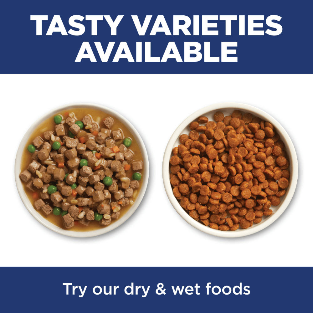 Hill’s Science Diet cat food showing dry kibble and wet food options for balanced daily feeding
