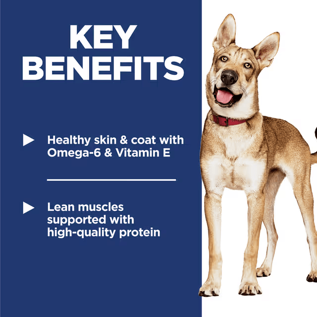 Hill's Science Diet Adult Chicken and Barley dog food benefits for healthy skin, coat and lean muscles