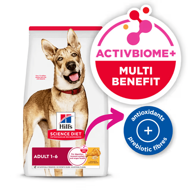 Hill's Science Diet Adult dry dog food with ActivBiome+ prebiotic fibres and antioxidants