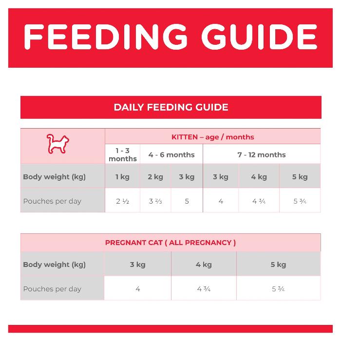 HILLS SCIENCE DIET Kitten Chicken Wet Cat Food pouches feeding guide