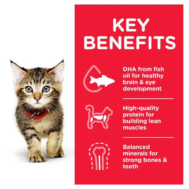 Hill's Science Diet Kitten Ocean Fish Pouches Wet Cat Food 85G benefits