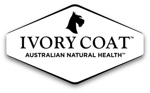 Ivory Coat