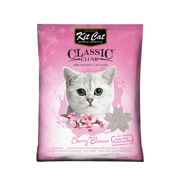 Bentonite clumping cat litter best sale