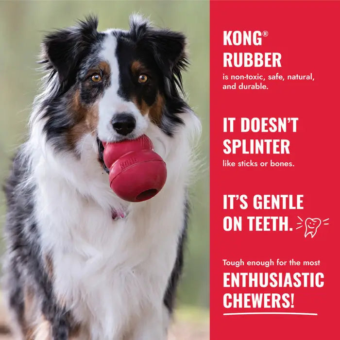 Dog holding a red KONG Classic natural rubber chew toy, highlighting durable, non-splintering rubber designed to be gentle on teeth.