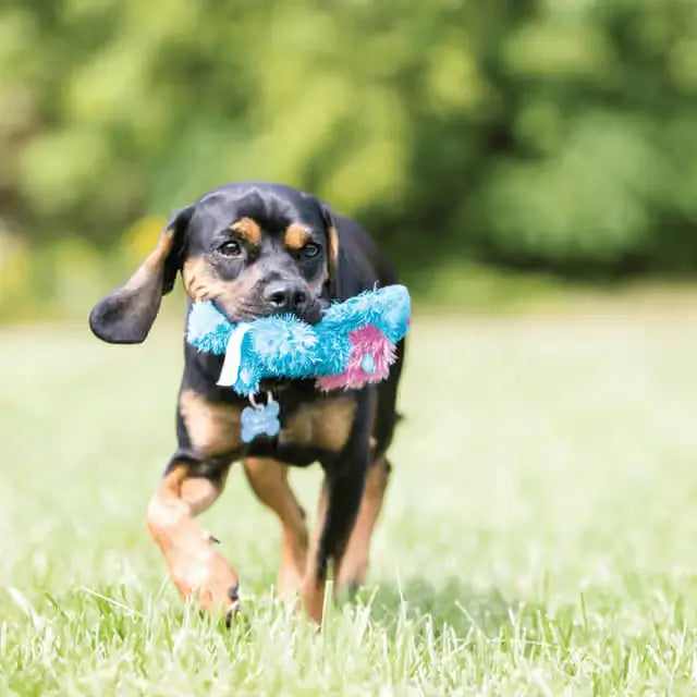 Black and tan dog carrying a blue and pink KONG Cozie plush dog toy while running across grass outdoors during playtime.