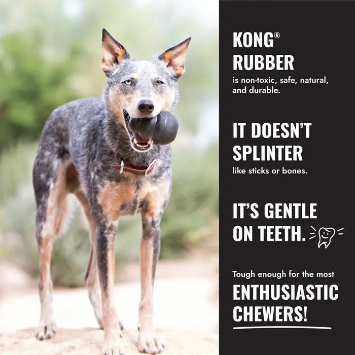 Dog holding a black KONG Extreme Ball with infographic highlighting durable natural rubber, non-splintering design and gentle contact with teeth.