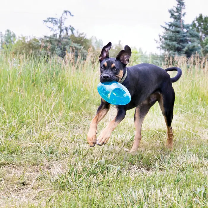 Active black and tan dog carrying a blue KONG Jumbler Football Dog Toy while running outdoors on grass during interactive fetch play.