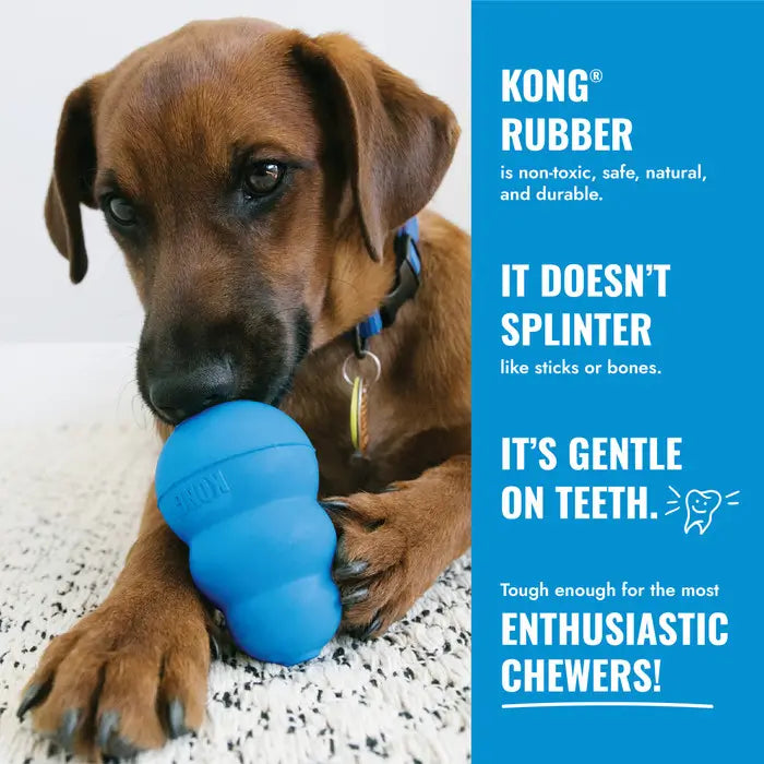 Brown puppy chewing a blue KONG Puppy toy with information about natural rubber, durability and gentle chewing
