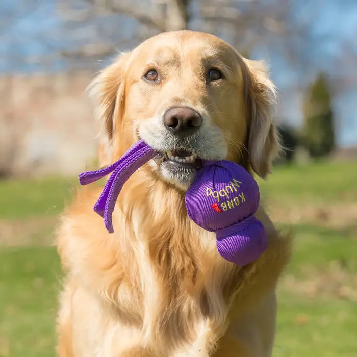 Golden Retriever holding a purple KONG Wubba squeaky dog toy in its mouth outdoors, showing the long fabric tails and ball-shaped design.