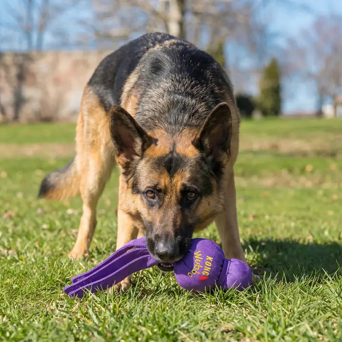 German Shepherd playing with a purple KONG Wubba dog toy on grass outdoors, gripping the fabric tails during interactive play.