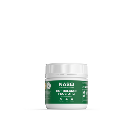 NATURAL ANIMAL SOLUTIONS Gut Balance Probiotic Green Lipped Mussel 80G