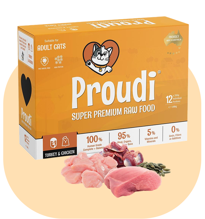 Proudi Turkey & Chicken raw cat food 1.08 kg box (12 portions), current packaging