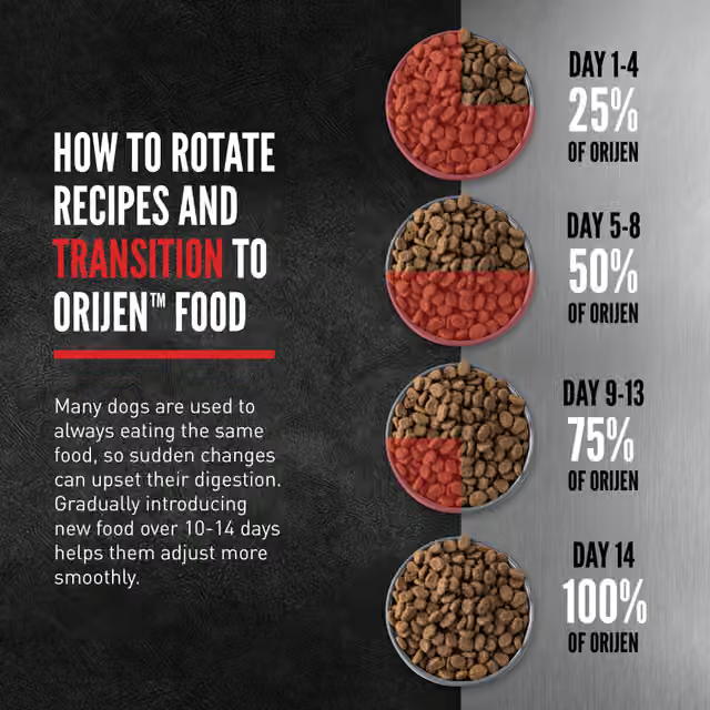 Fourteen-day transition guide for changing to ORIJEN Original dog food
