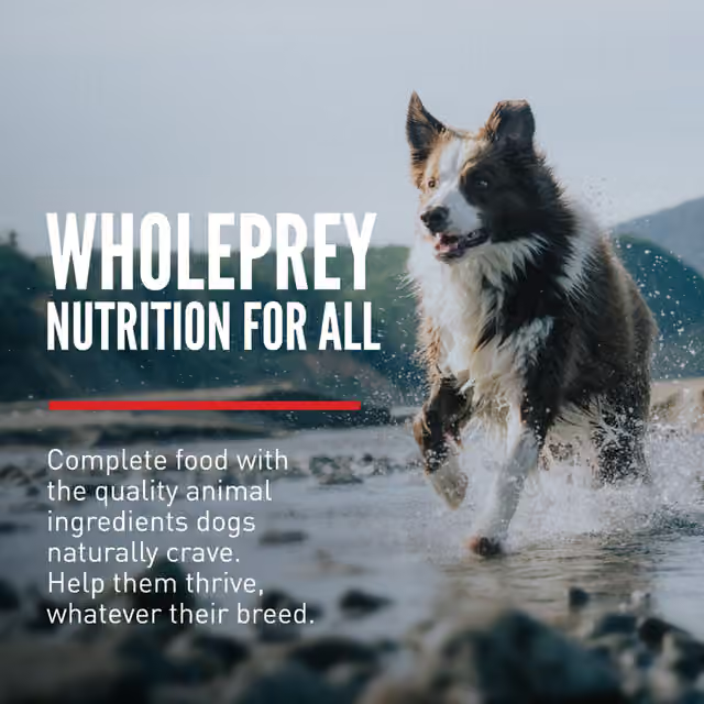 ORIJEN Original WholePrey nutrition for dogs of all breeds and life stages