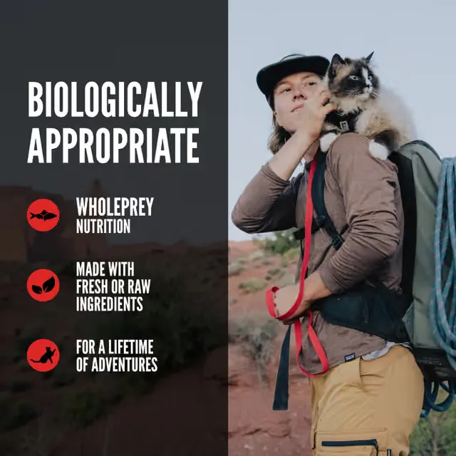 ORIJEN biologically appropriate cat food with WholePrey nutrition and fresh or raw ingredients
