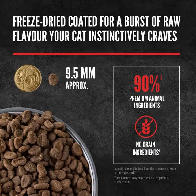 ORIJEN Six Fish cat food with freeze-dried coating and approximately 9.5mm kibble