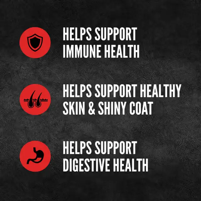 ORIJEN Six Fish dog food benefits for immune, skin, coat and digestive health