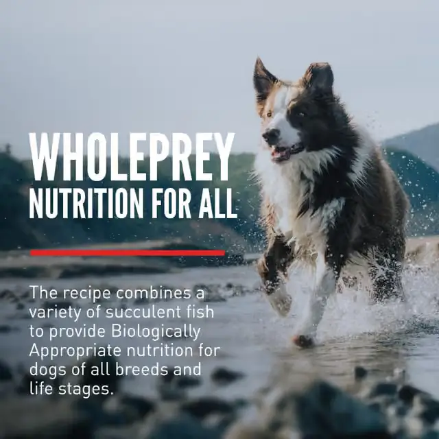 ORIJEN Six Fish WholePrey nutrition for dogs of all breeds and life stages