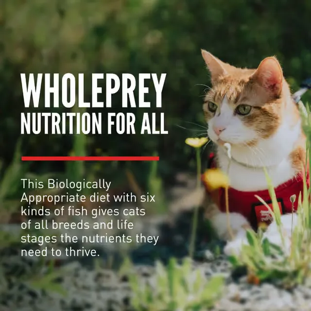 ORIJEN Six Fish WholePrey nutrition for cats of all breeds and life stages