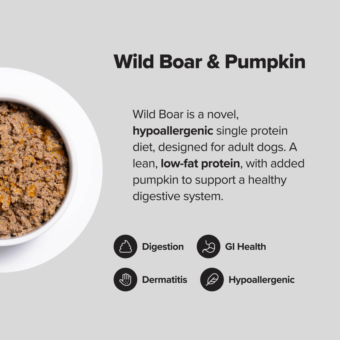 prime100 spd wild boar and pumpkin slow cooked wet dog food features