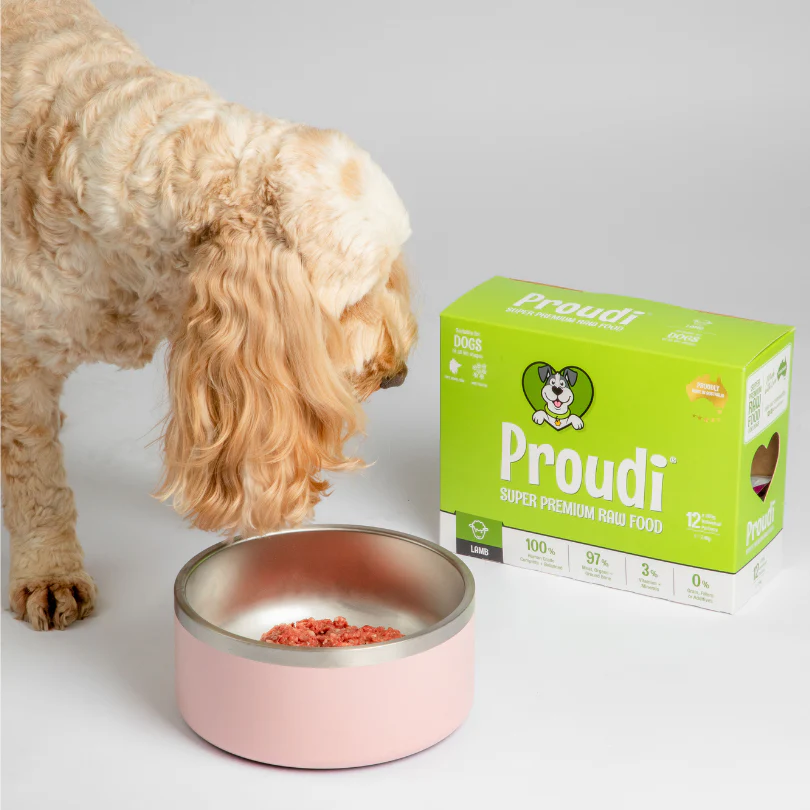 Proudi Lamb Dog Food Raw 2.4KG