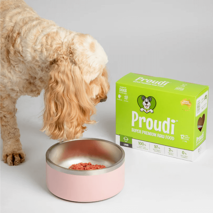 Dog eating Proudi Raw Lamb Dog Food patties with the 2.4kg box displayed beside the bowl.
