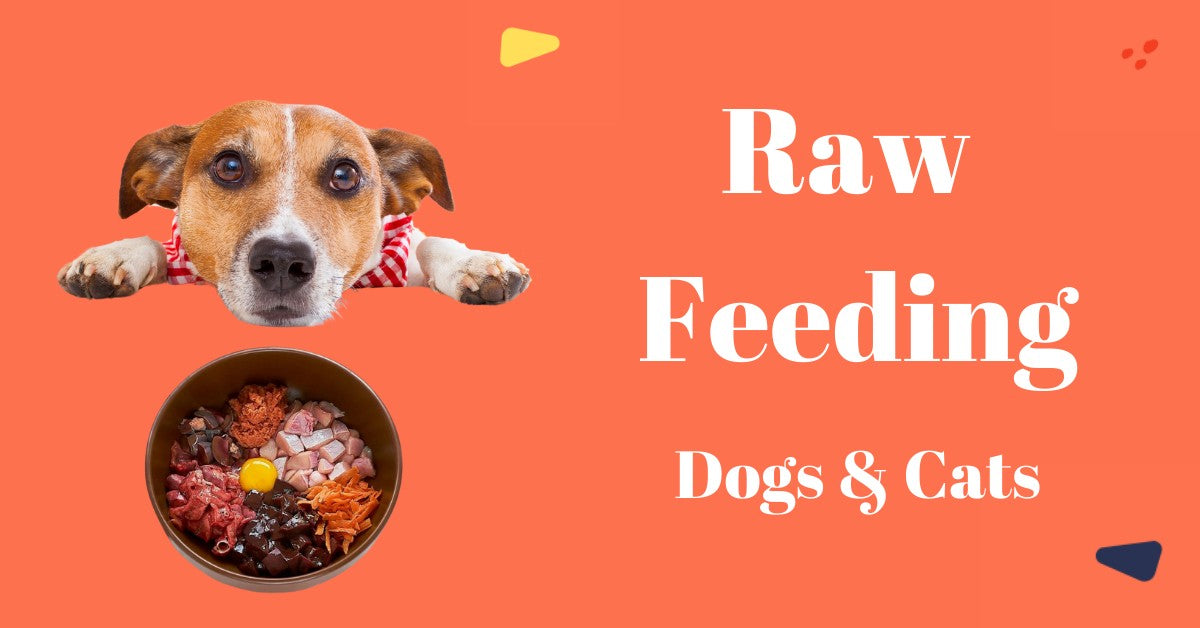 raw feeding dogs and cats food banner ads pet store