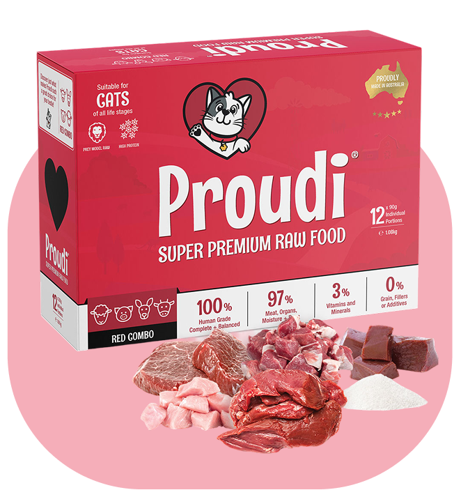 Proudi Red Combo raw cat food 1.08 kg box (12 x 90 g portions), current packaging
